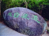 道法自然