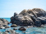 鉴真试海