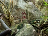 仙梯