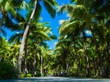 Coconut Grove Bar